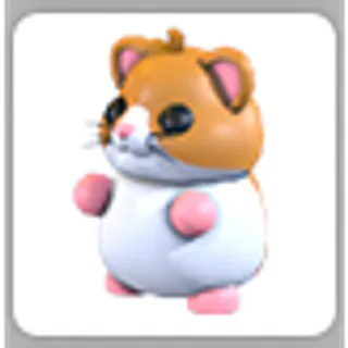 HAMSTER