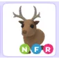 NFR REINDEER