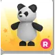 R PANDA