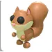 RED SQUIRREL