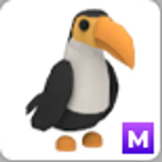 TOUCAN M