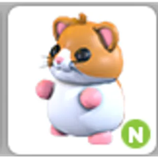 HAMSTER N