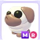 MR SNOWBALL PUG