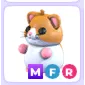MFR HAMSTER