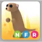 NFR MEERKAT