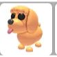 TOY POODLE