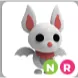 NR ALBINO BAT