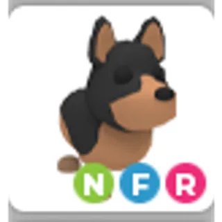 AUSTRALIAN KELPIE NFR