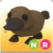 NR PLATYPUS