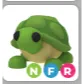 NFR TURTLE
