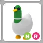 NR SILLY DUCK