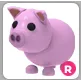 R Pig | Adopt Me!