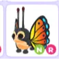 NR MIRAI MOTH