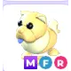 MFR GOLDEN CHOW-CHOW
