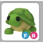 FR TURTLE