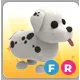 FR DALMATIAN 