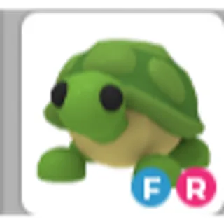 TURTLE FR