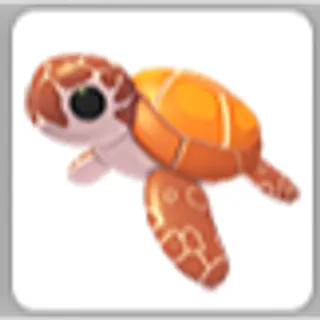 SEA TURTLE