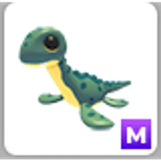 ELASMOSAURUS M
