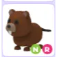 NR BEAVER