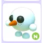 N SNOWBALL PET
