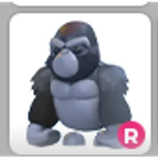 SILVERBACK GORILLA R
