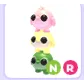 NR DANGO PENGUINS