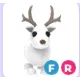 FR ARCTIC REINDEER