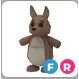 FR KANGAROO | ADOPT ME!
