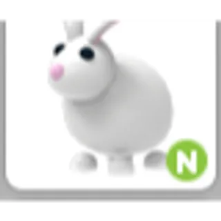 RABBIT N