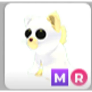 GHOSTLY CAT MR