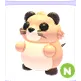 N MUSKRAT 