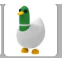 SILLY DUCK