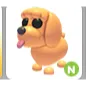 N TOY POODLE