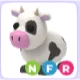 NFR COW