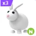 N RABBIT