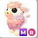 MR ANGUS COW