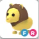 FR LION 