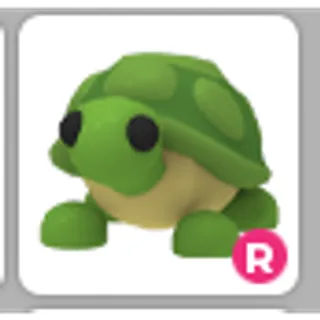 TURTLE R