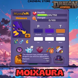 MOIXAURA | DRAGON ADVENTURES