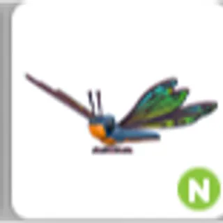 CLUBTAIL DRAGONFLY N