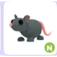 N RAT