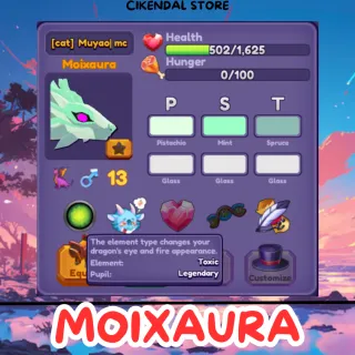 MOIXAURA | DRAGON ADVENTURES