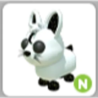 MOON RABBIT N