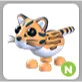 N OCELOT 