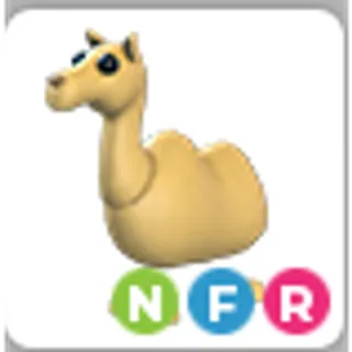 CAMEL NFR
