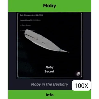 MOBY FISCH