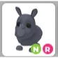 NR Rhino | Adopt Me!
