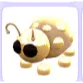 GOLDEN LADYBUG