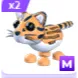 M OCELOT